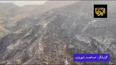 آتش‌سوزی گسترده در ارتفاعات دشتستان مهار شد + فیلم