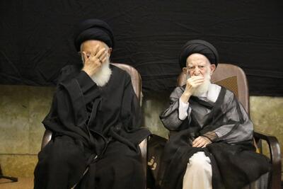 گزارش تصویری: سالگرد درگذشت همسر حضرت آیت الله شبیری زنجانی | شفقنا، آخرین اخبار ایران و جهان