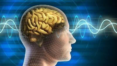افزایش خطر مرگ و آلزایمر در افراد با مغز‌های پیر