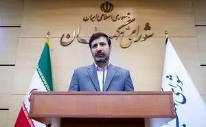 طحان‌نظیف: ایرادات مصوبه ریزپرنده‌ها اعلام شد