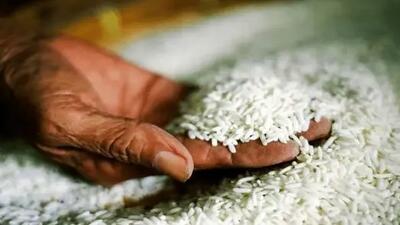 علت اصلی قیمت 350 هزار تومانی برنج رسماً اعلام گردید
