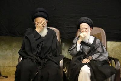 تصاویر؛ مراسم سالگرد همسر آیت‌الله شبیری زنجانی