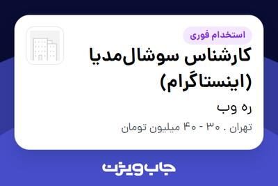 استخدام کارشناس سوشال‌مدیا (اینستاگرام) - خانم در ره وب