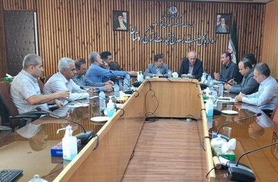 تشکیل خوشه فرش کردستان در مسیر تحقق زنجیره ارزش