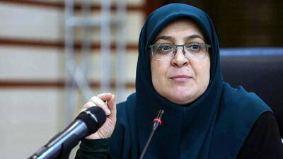 سخنگوی دولت : ایرانیان جهان صدای رسای حقیقت دردفاع از ایران