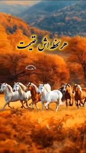 فال و طالع بینی امروز 11 مرداد