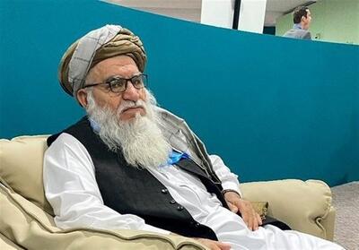 جنگ‌ها و استفاده بی‌رویه از منابع طبیعی؛ عوامل اصلی تخریب محیط‌زیست افغانستان - تسنیم