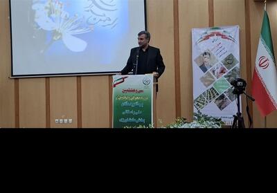چالش‌های کلیدی کشاورزی ایلام؛ از بهره‌وری پایین تا مصرف بی‌رویه آب - تسنیم