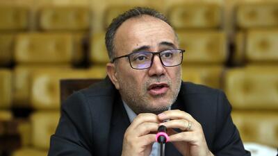 علیمردانی: دولت باید برای کنترل قیمت کالاهای اساسی برنامه ای کاربردی ارائه دهد