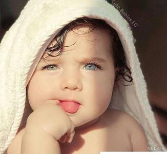 نی نی های بامزه : پنهان در پتو