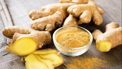 زنجبیل، ادویه‌ای با طعم توسعه برای ایران