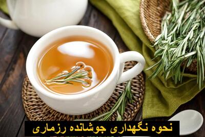 نحوه نگهداری جوشانده رزماری | جوشانده رزماری تا چند روز قابل استفاده است؟