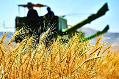 تاخیر در پرداخت پول گندمکاران قابل قبول نیست