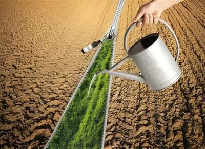 تمهیدات وزارت جهاد برای بهینه سازی مصرف آب - اکونیوز
