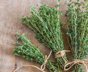 آنتی‌بیوتیک طبیعی طب سنتی برای درمان سرفه و عفونت‌های تنفسی