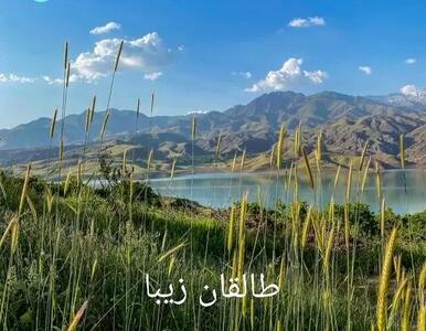 طالقان کجاست؟ نگاهی عمیق‌تر به طبیعت، فرهنگ و جاذبه‌های دیدنی طالقان