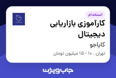 استخدام کارآموزی بازاریابی دیجیتال در کاپاجو