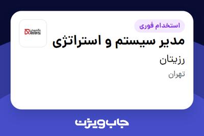 استخدام مدیر سیستم و استراتژی در رزیتان