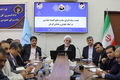 بررسی مشکلات چند واحد تولیدی/ گره گشائی از یک مشکل هفت ساله و سجده شکر سرمایه گذار 