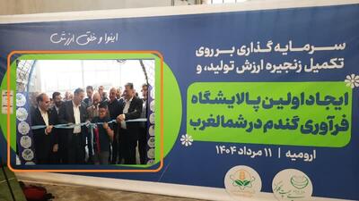 تکمیل زنجیره تولید در ارومیه/ایجاد نخستین پالایشگاه فرآوری گندم در شمالغرب کشور+تصاویر