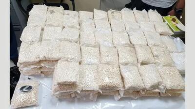 کنسرو کله پاچه با طعم مواد مخدر روان گردان