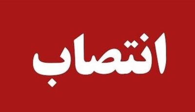 فیروز عارفی  فرماندار سروآباد ‌شد