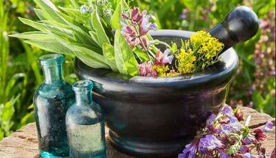 چند باور غلط در مورد مصرف داروهای گیاهی