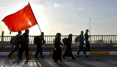 قائم مقام راه‌آهن: قطار تهران - کربلا در ایام اربعین فعال نیست