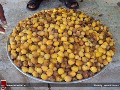 خرما هنوز نرسیده، خارَک درو می‌شود /  روایتی از شادگانِ شیرین و تلخ