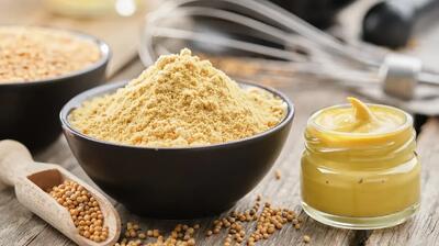 مراحل تهیه پودر خردل خانگی | پودر خردل در چه غذاهایی استفاده میشود؟