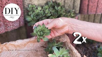 ۲ تزیینات طبیعی ساده که باغ شما را زیباتر میکند!