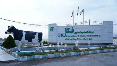 دستاورد «فکا» در عرصه صادرات دانش‌بنیان