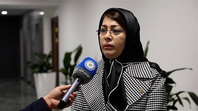 ۴ هزار کشنده در گمرکات متوقف هستند و هیچ رویه مشخصی برای واردات آن‌ها وجود ندارد/ در دوره جنگ مجبور بودیم نوبتی از کشنده‌ها مراقبت کنیم