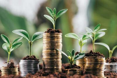 چگونه جهان با دارایی‌های عمومی خلق ثروت می‌کند؟