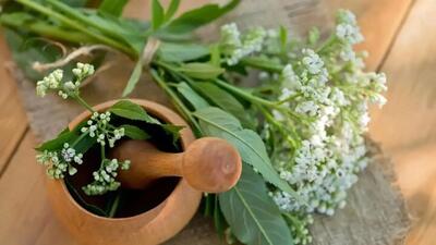 داروی گیاهی موثر برای کاهش اضطراب و تپش قلب