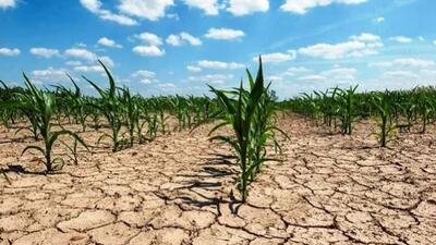 پایان رویای خودکفایی با کمبود آب