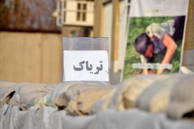 کشف بیش از ۱۰ کیلوگرم تریاک در محور اردستان