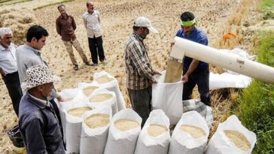 واردات برنج هندی و پاکستانی با قیمت مناسب