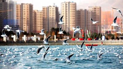 لیست اجاره خانه در چیتگر / رهن و اجاره آپارتمان ۲ خواب چند؟ + جدول مرداد
