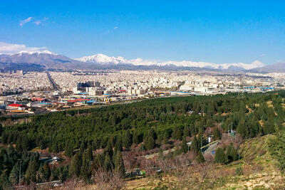 خطر سوسک‌های چوب‌خوار برای بوستان سرخه‌حصار