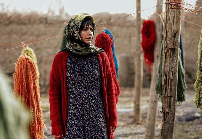 فیلم ناتور دشت به زودی اکران می‌شود