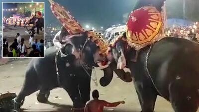 فیل خشمگین مراسم مذهبی سریلانکا را به هم ریخت!