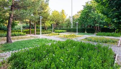 پای فضای سبز از آب شرب خرم‌آباد قطع می‌شود؟