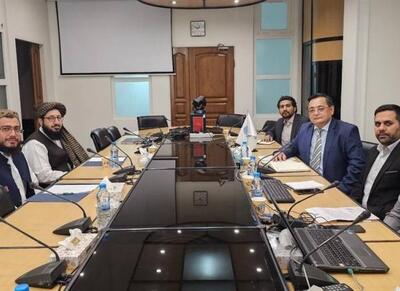 افغانستان به دنبال حضور فعال در سازمان اکو است - اکونیوز
