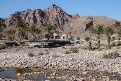 آخرین وضعیت  از خسارت جانی و مالی زلزله کرمان