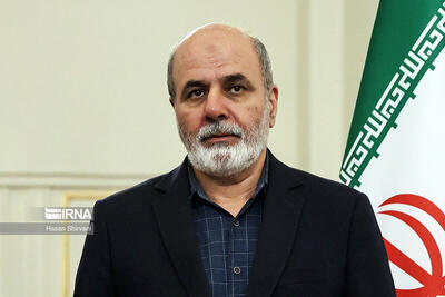 «علی‌اکبر احمدیان» به دولت می‌رود