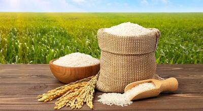 آخرین قیمت برنج پاکستانی؛ امروز سه‌شنبه 14 مرداد 1404