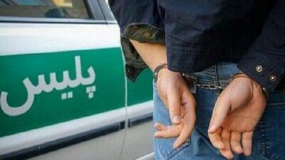 عنکبوت زرد دستگیر شد!