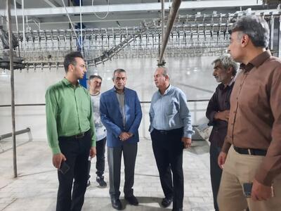 کشتارگاه طیور استان مرکزی در آستانه راه‌اندازی/تایید دامپزشکی، شرط فعالیت مجدد