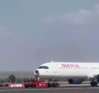 فرود اضطراری در اسپانیا؛ پرنده به دماغه هواپیما برخورد کرد